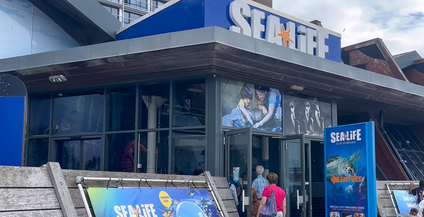 Zwarte schimmel en achterstallig onderhoud: personeel klaagt over 'onacceptabele omstandigheden' bij Sea Life Scheveningen