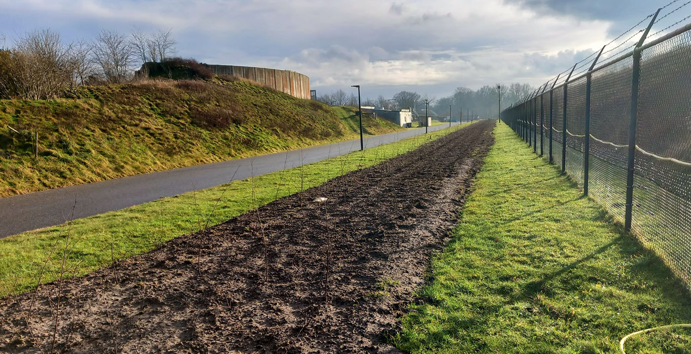 Wildlands Emmen plant 4500 bomen achter de schermen: 'Bron van vers voer'