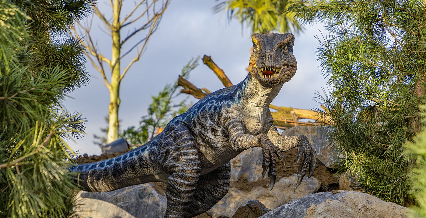 Foto's: dierenpark Pairi Daiza opent prehistorisch themagebied met tientallen bewegende dino's