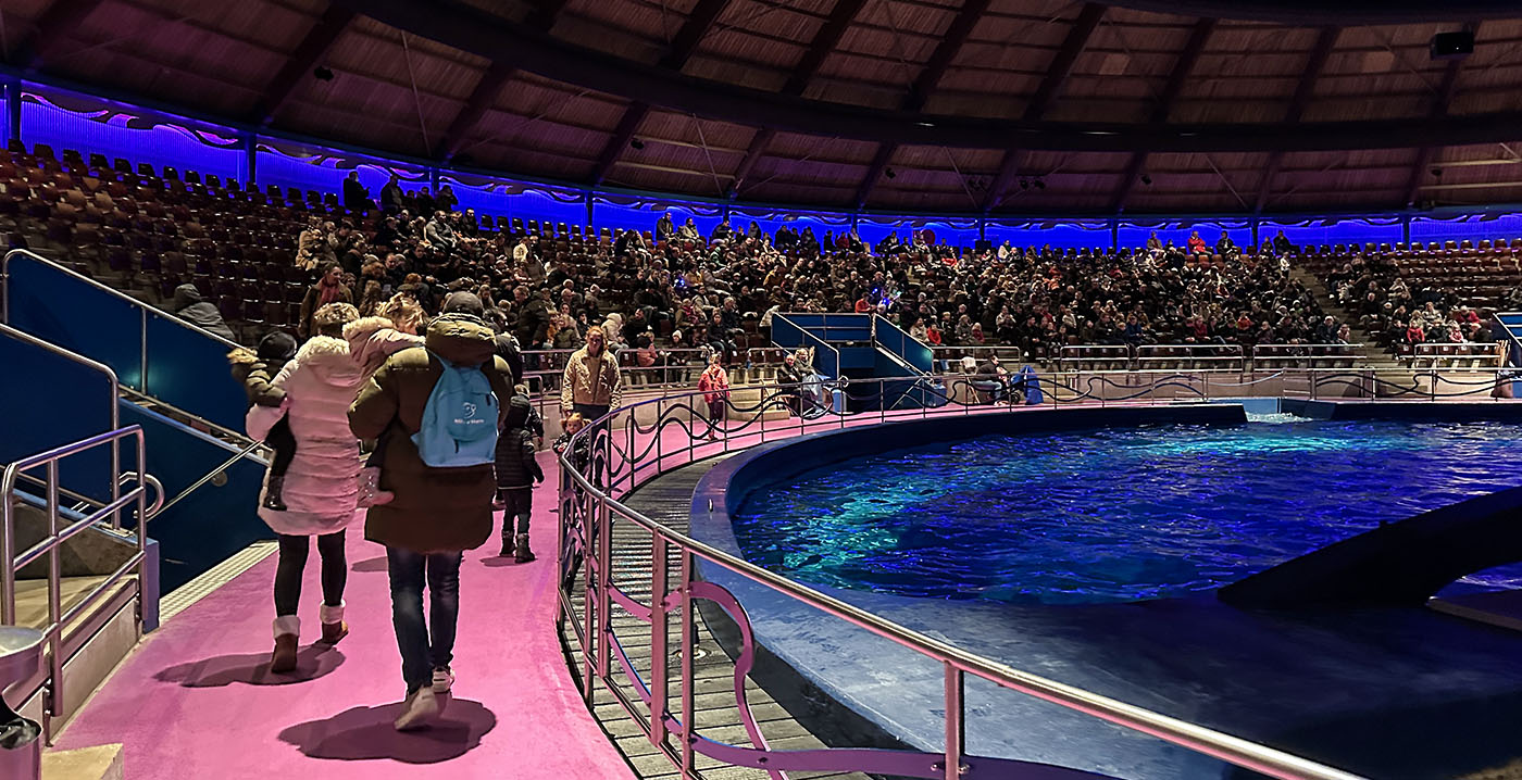 Geen boete voor dierenactivist die Dolfinarium-show verstoorde