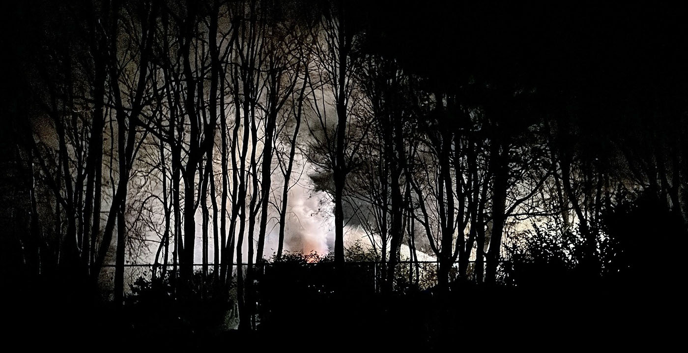 Zes doodshoofdaapjes dood door brand in Brabantse dierentuin