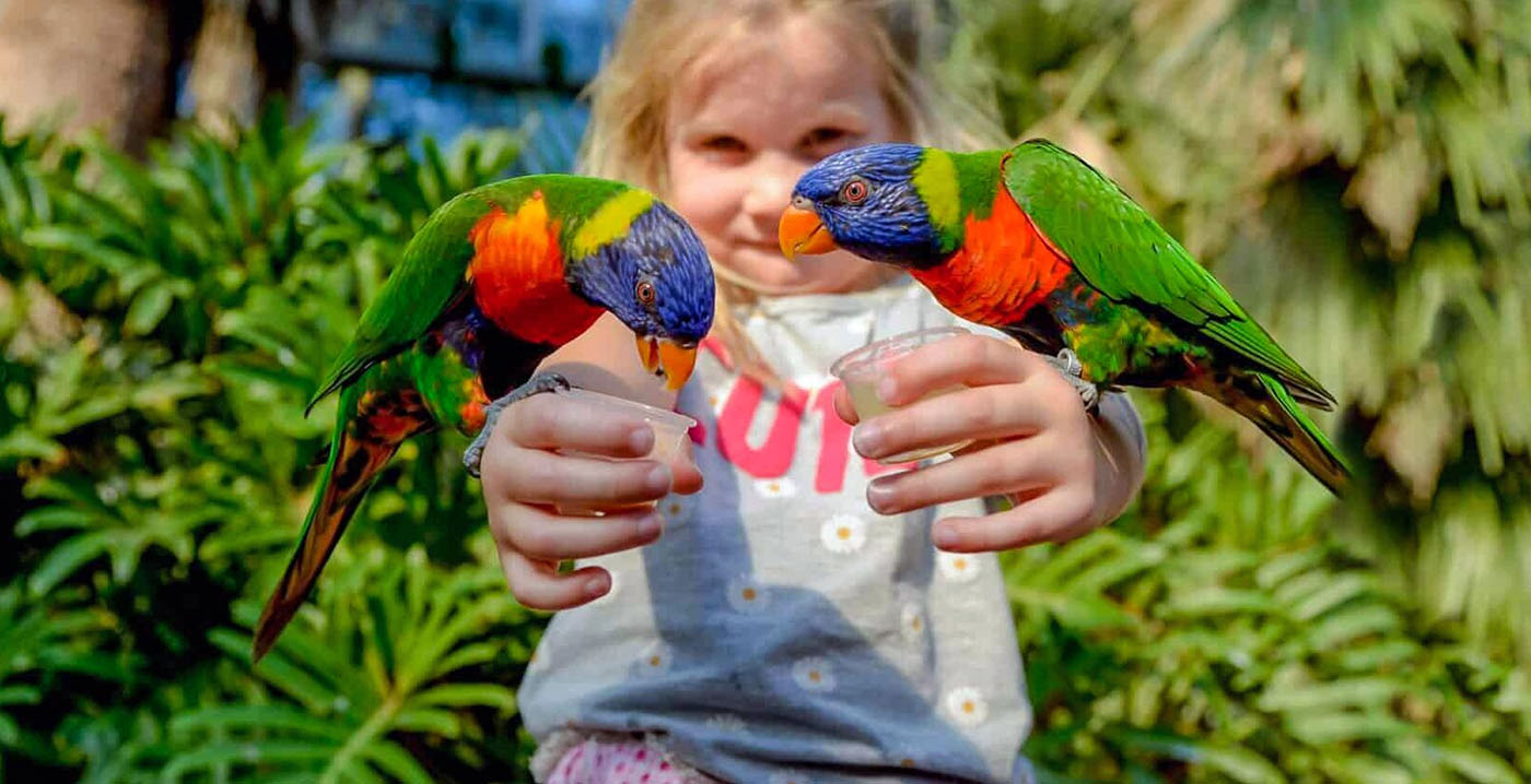 Tientallen vogels overleden in Vogelpark Avifauna