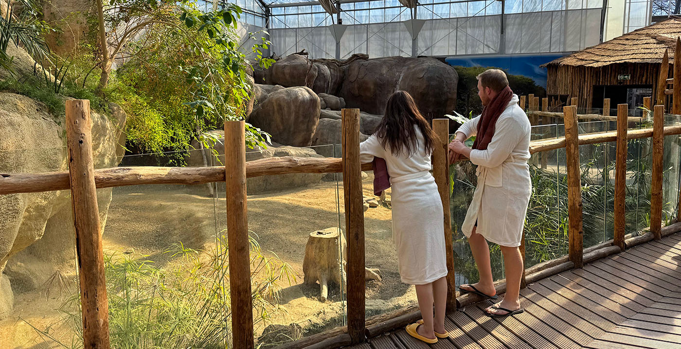 Diergaarde Blijdorp kondigt wellness-arrangementen aan: 1 aprilgrap