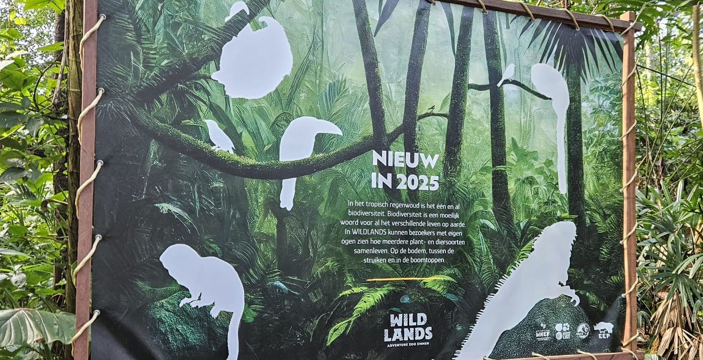 Wildlands bouwt nieuw dierenverblijf in themagebied Jungola