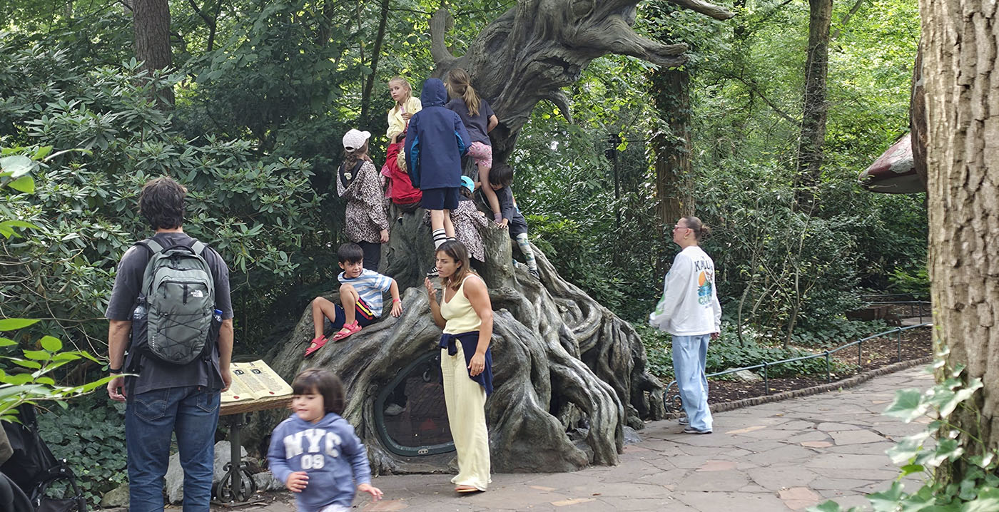 Kinderen kunnen het niet laten: Kabouterboom in de Efteling massaal gebruikt als klimrek