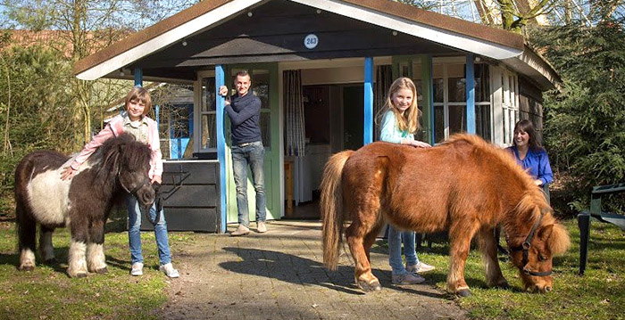 Attractiepark Slagharen stopt met pony's bij vakantiehuisjes