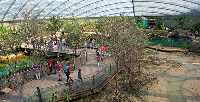Nieuw themagebied Burgers' Zoo officieel geopend