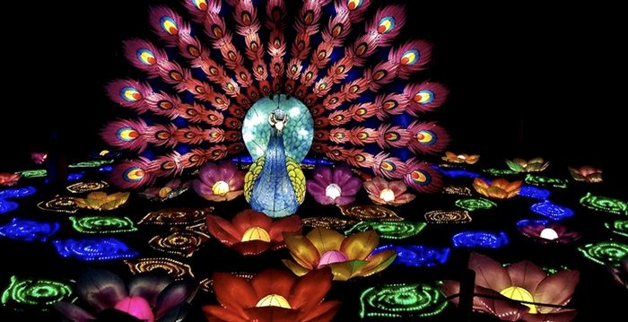 Lichtfestival Ouwehands Dierenpark gaat definitief niet door