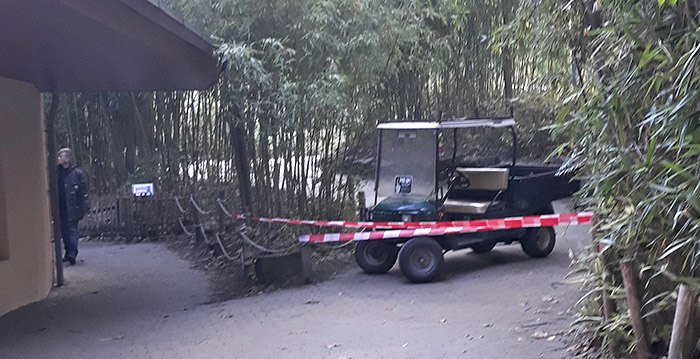 Orang-oetan dood gevonden in Apenheul