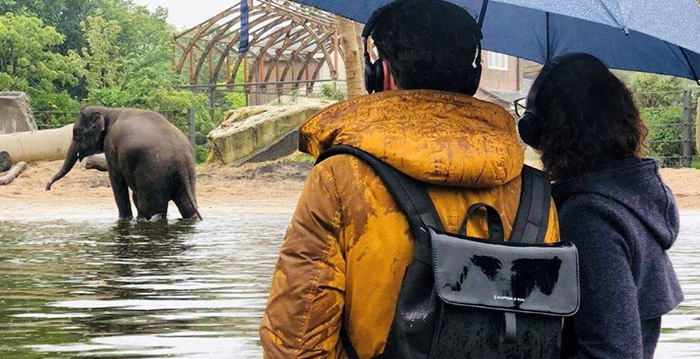 Artis en Blijdorp raden bezoekers aan om mondkapjes te dragen