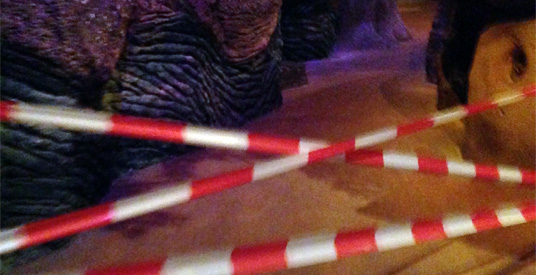 Nachtmerrie: plafond PandaDroom stort in elkaar