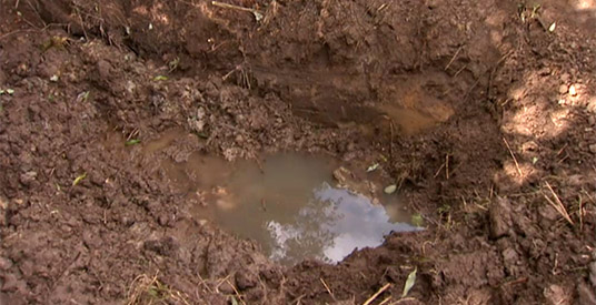 Pretpark dumpt ontlasting van bezoekers bij de buren