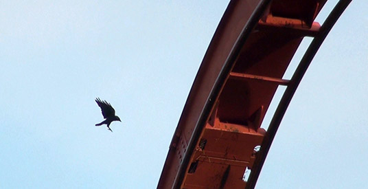 Attractiepark Slagharen in de nesten: vogels wonen in achtbaan Looping Star
